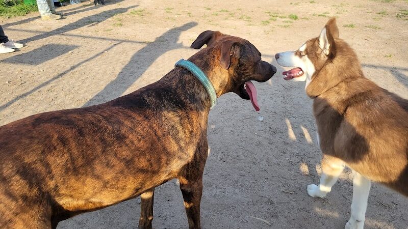 Spotsy Dog Park Inc. - Spotsylvania Courthouse, VA