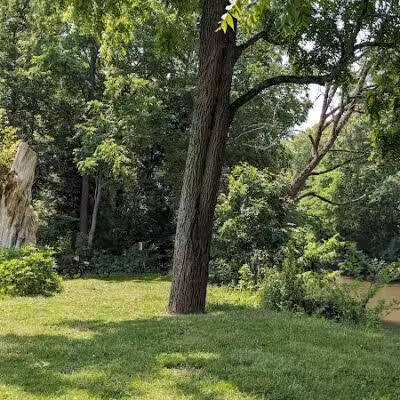 Constitution Park - Spring Valley, OH