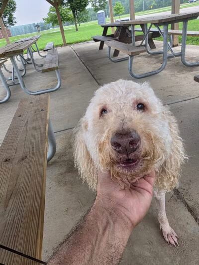 Sackett-Wright Park - Spring Valley, OH