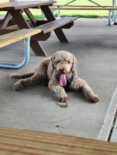 Sackett-Wright Park - Spring Valley, OH