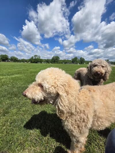 Sackett-Wright Park - Spring Valley, OH