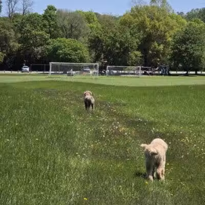 Walton Park - Spring Valley, OH