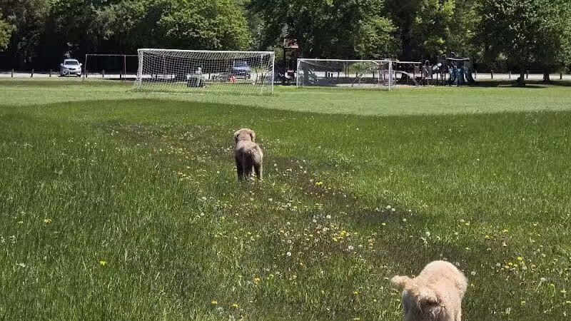 Walton Park - Spring Valley, OH