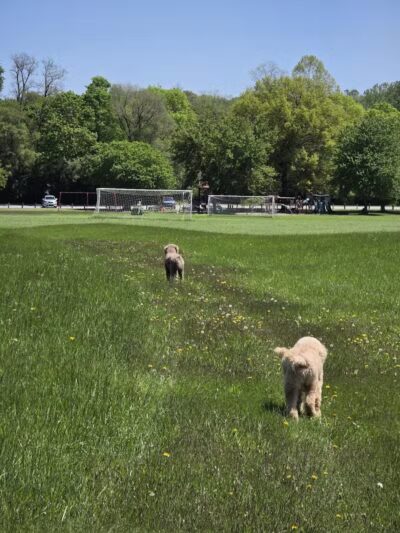 Walton Park - Spring Valley, OH