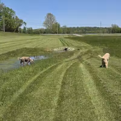 Walton Park - Spring Valley, OH