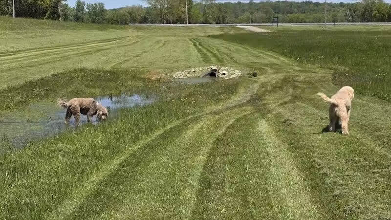 Walton Park - Spring Valley, OH