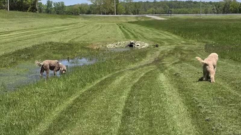 Walton Park - Spring Valley, OH