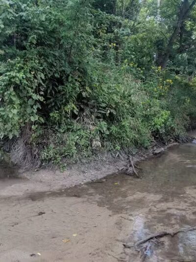 Walton Park - Spring Valley, OH