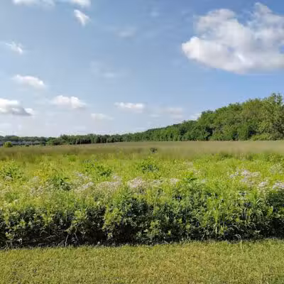 E. Milo Beck Park - Springboro, OH