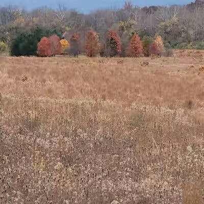 E. Milo Beck Park - Springboro, OH