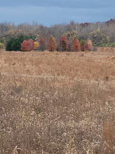 E. Milo Beck Park - Springboro, OH