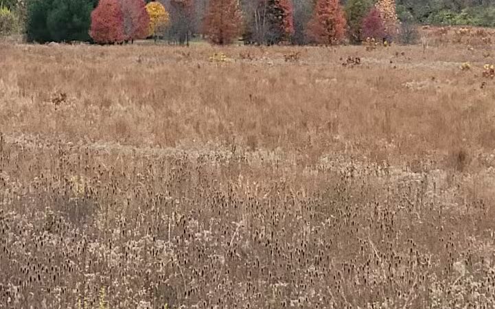 E. Milo Beck Park - Springboro, OH