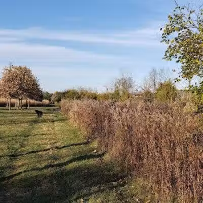 E. Milo Beck Park - Springboro, OH