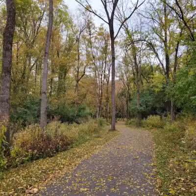 E. Milo Beck Park - Springboro, OH