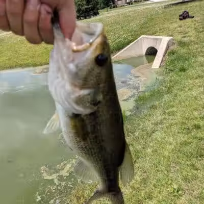 Gardner Park - Springboro, OH