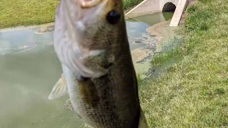 Gardner Park - Springboro, OH