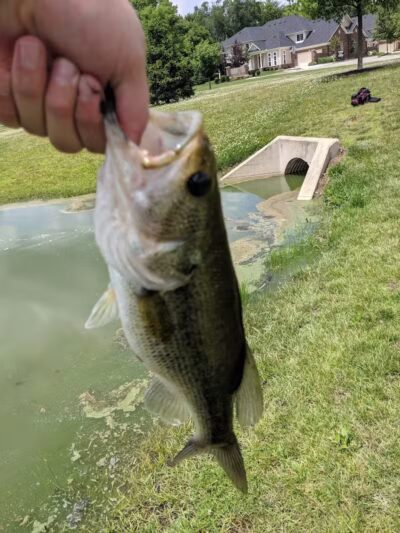 Gardner Park - Springboro, OH