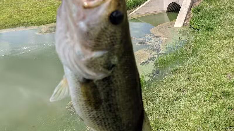 Gardner Park - Springboro, OH
