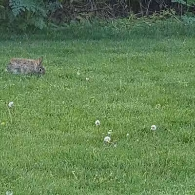 Gardner Park - Springboro, OH