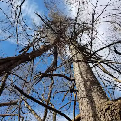 Gardner Park - Springboro, OH