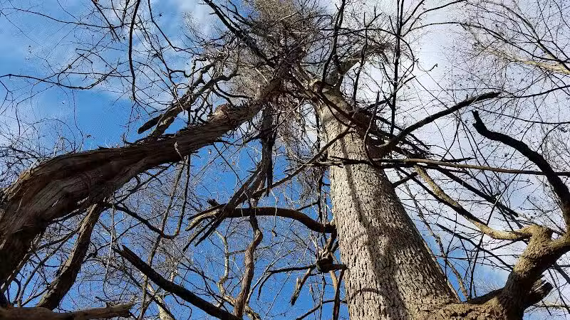 Gardner Park - Springboro, OH