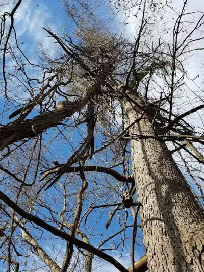 Gardner Park - Springboro, OH