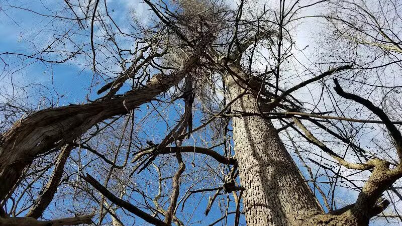 Gardner Park - Springboro, OH