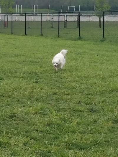 Hazel Woods Park - Springboro, OH