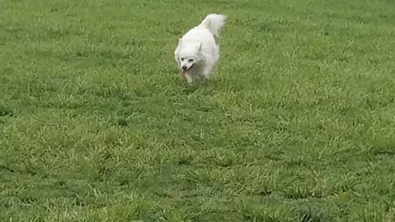 Hazel Woods Park - Springboro, OH