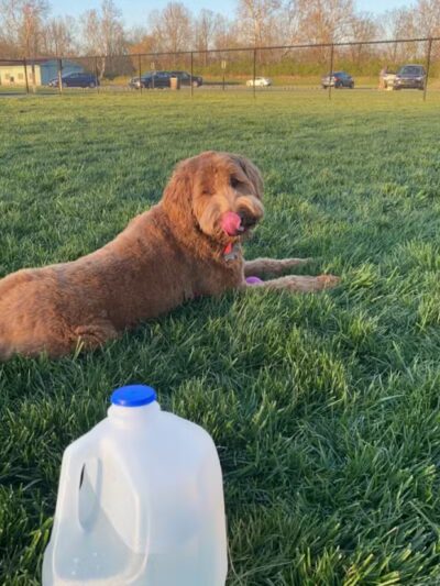 Hazel Woods Park - Springboro, OH