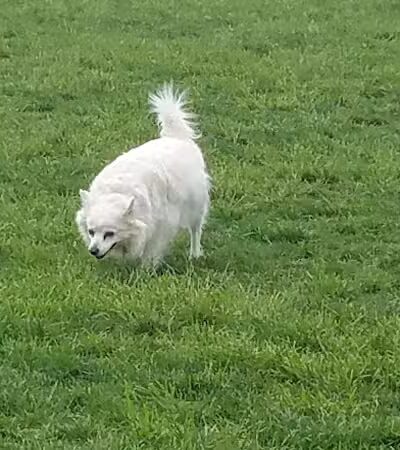 Hazel Woods Park - Springboro, OH