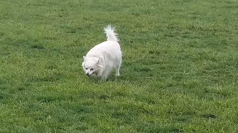 Hazel Woods Park - Springboro, OH