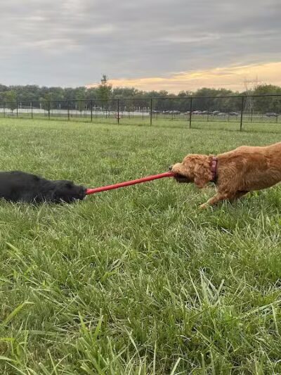 Hazel Woods Park - Springboro, OH