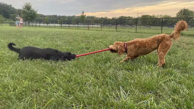 Hazel Woods Park - Springboro, OH
