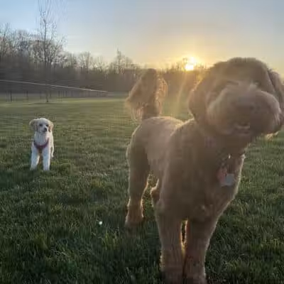Hazel Woods Park - Springboro, OH