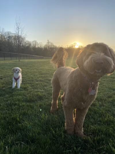 Hazel Woods Park - Springboro, OH
