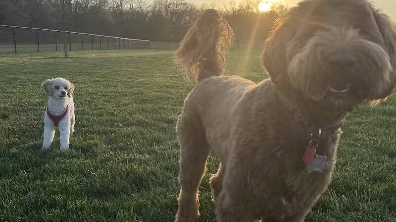 Hazel Woods Park - Springboro, OH