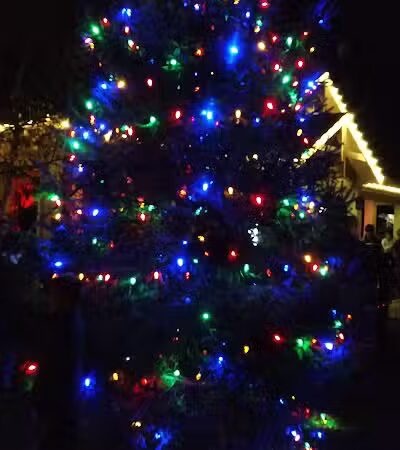 Rotary Park - Springboro, OH