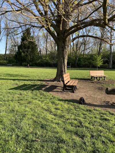 Central Bark Dog Park - Springfield, OH