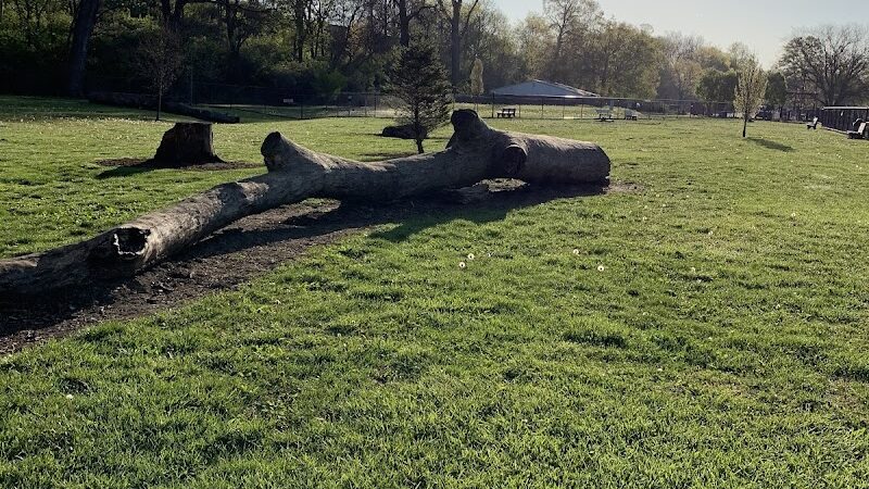 Central Bark Dog Park - Springfield, OH