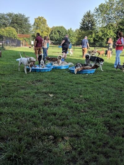 Central Bark Dog Park - Springfield, OH
