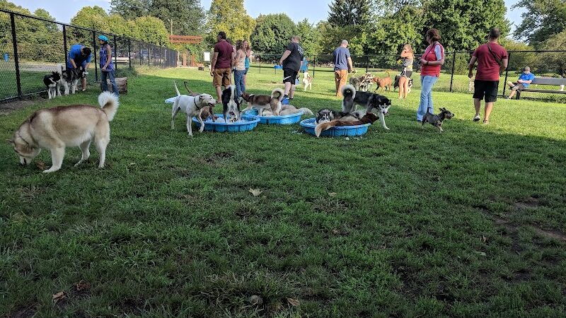 Central Bark Dog Park - Springfield, OH