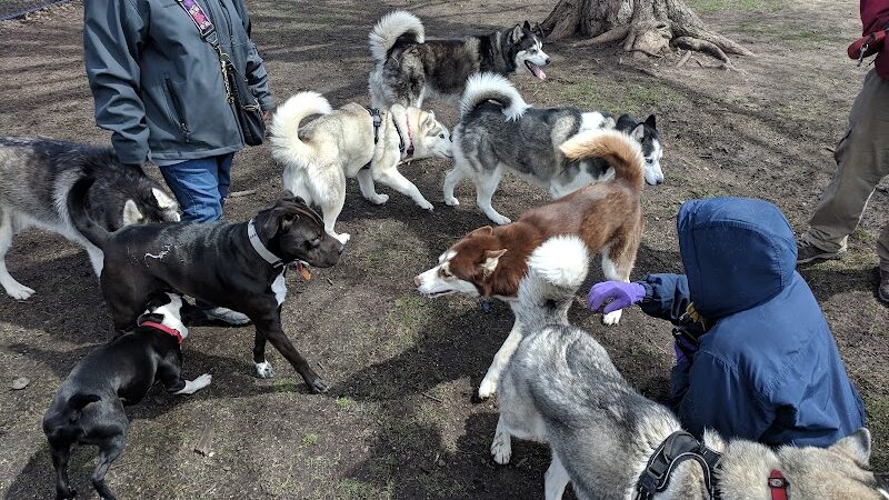 Central Bark Dog Park - Springfield, OH