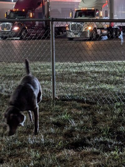 Dog Park at Love's Travel Stops - Springfield, OH