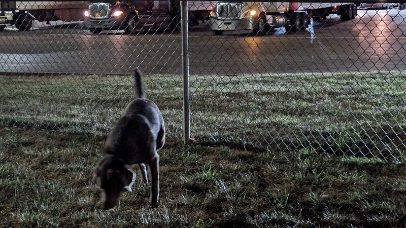 Dog Park at Love's Travel Stops - Springfield, OH
