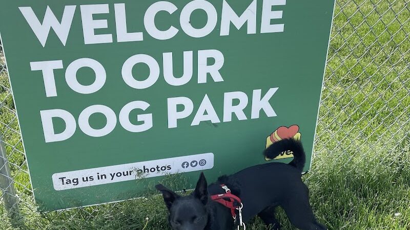 Dog Park at Love's Travel Stops - Springfield, OH