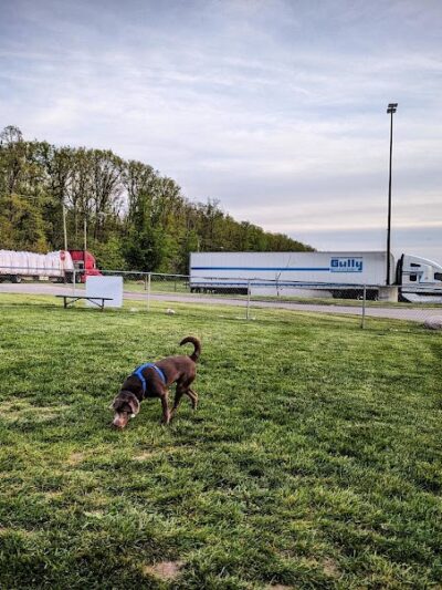 Dog Park at Love's Travel Stops - Springfield, OH