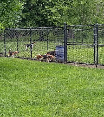 Wiggley Field Dog Park - Springfield, OH