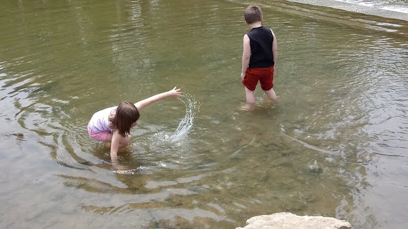 Wiggley Field Dog Park - Springfield, OH