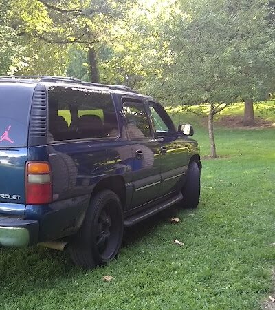 Wiggley Field Dog Park - Springfield, OH